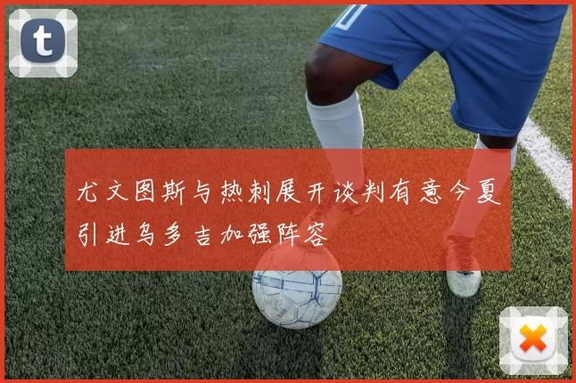 尤文图斯与热刺展开谈判有意今夏引进乌多吉加强阵容