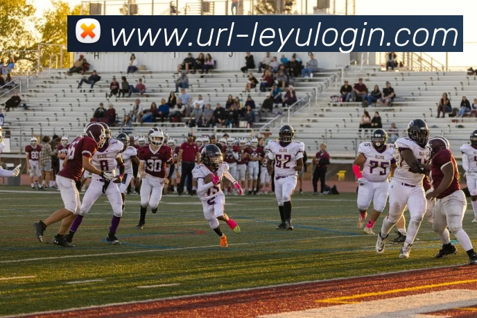 App Interface Preview